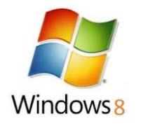 windows 8