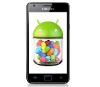 jelly bean custom