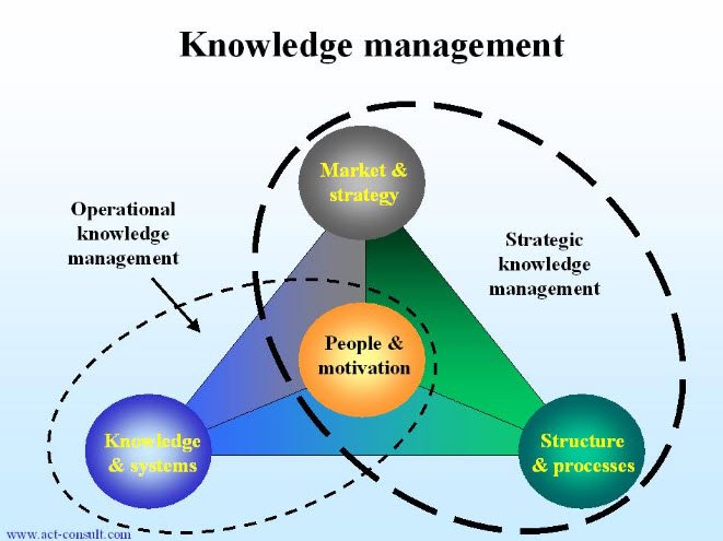 Building and Sustaining Knowledge Management Systems