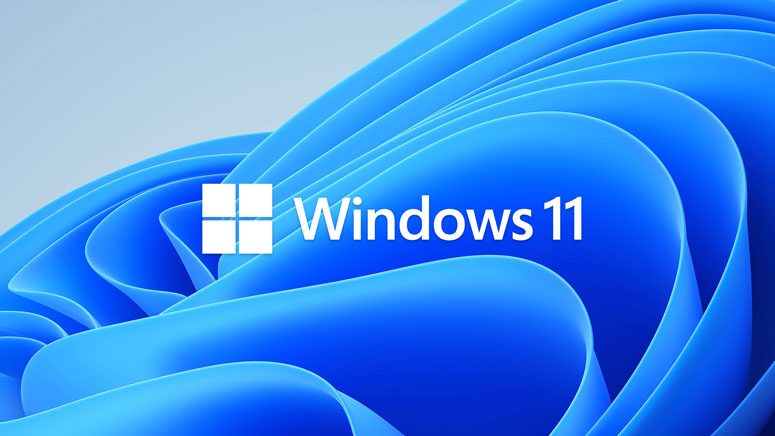 Windows 11 Wallpapers