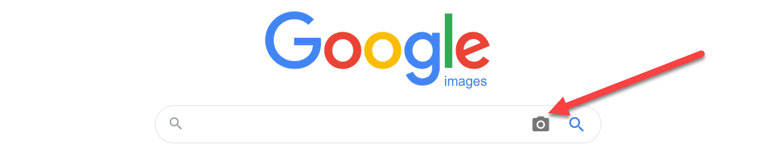 Google image search