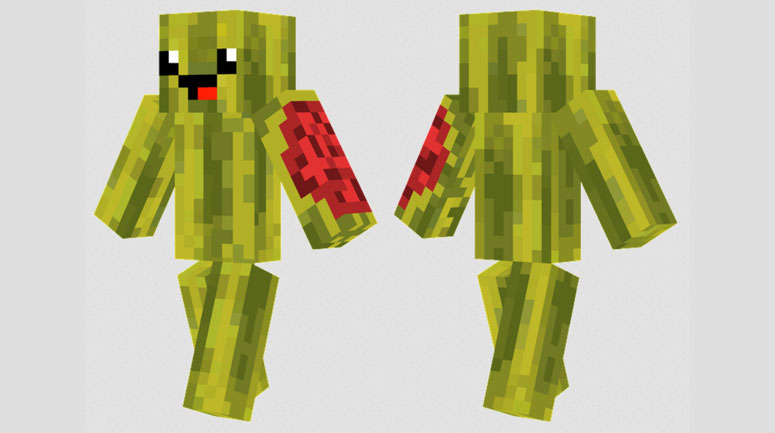 Happy Watermelon Minecraft Skins