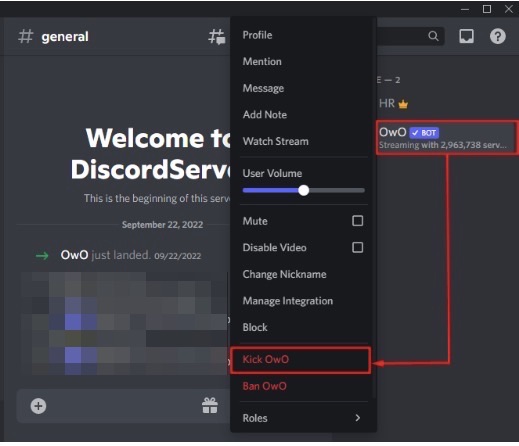 Remove Discord Bots from Server