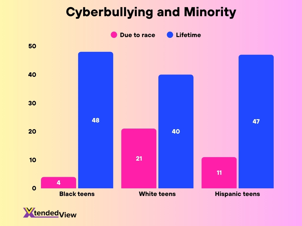Cyberbullying And Minority