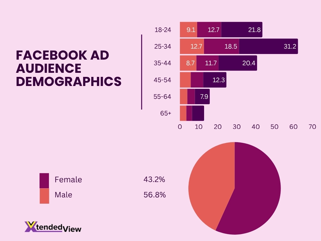 Facebook Ad Audience Demographics