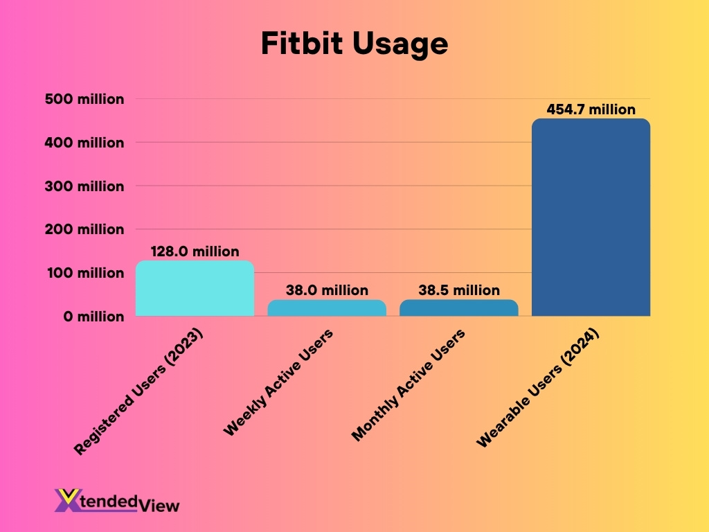 Fitbit Usage