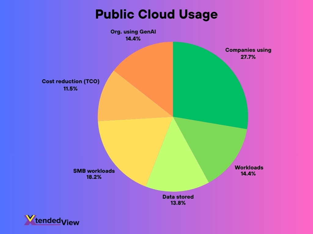 Public Cloud Usage