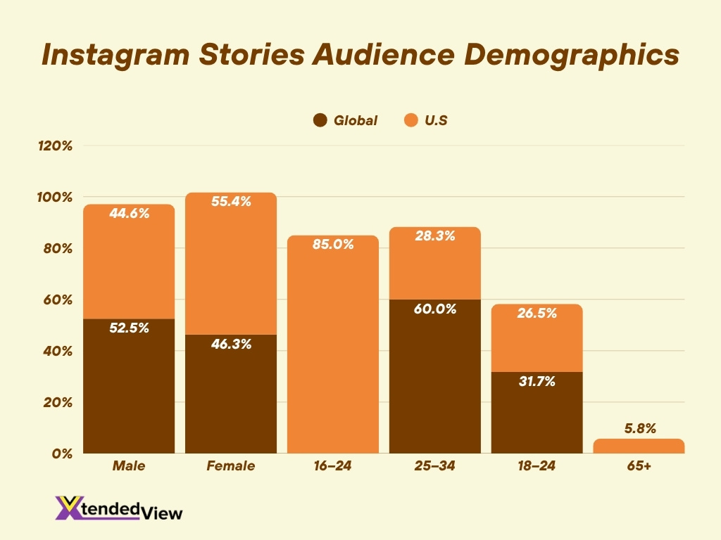 Instagram Stories Audience Demographics