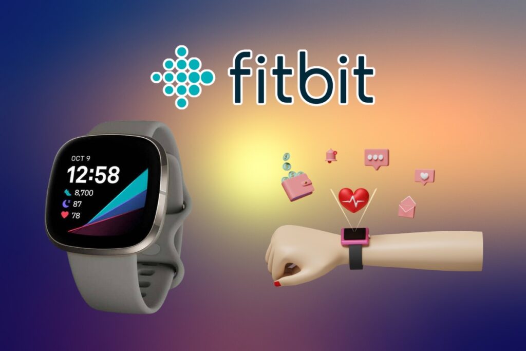 Fitbit Statistics Image