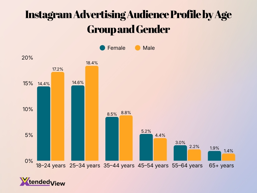 Instagram Advertising Audience Profile By Age Group And Gender