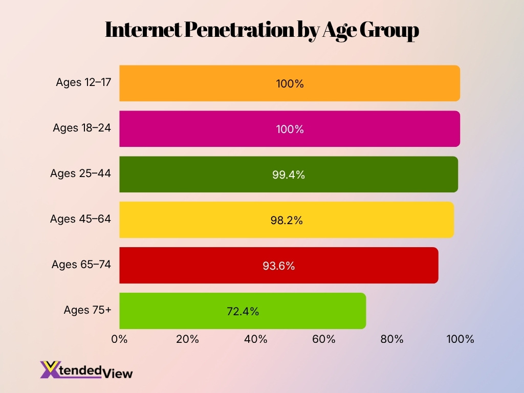 Internet Penetration By Age Group