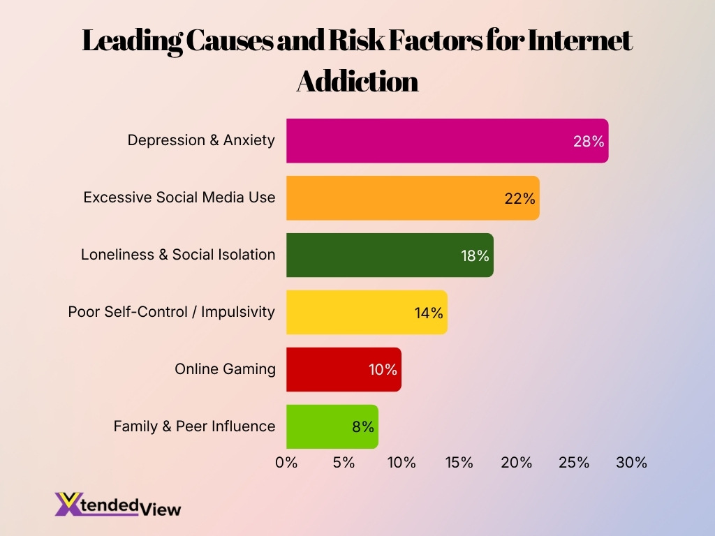 Leading Causes And Risk Factors For Internet Addiction