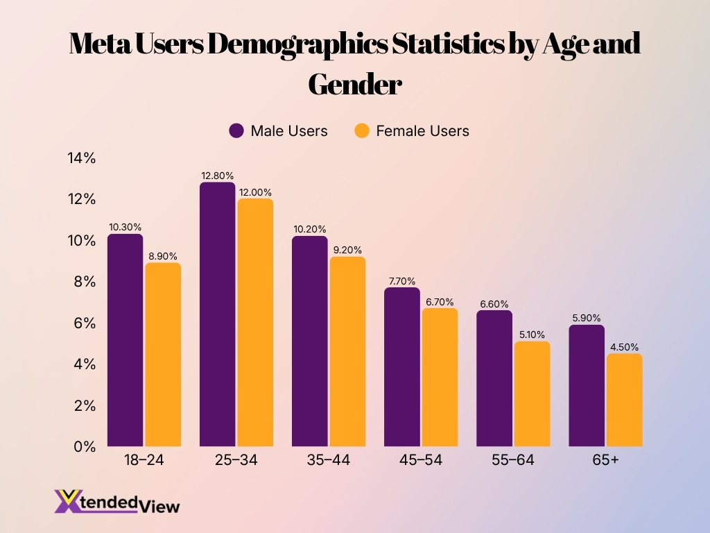 Meta Users Demographics Statistics By Age And Gender