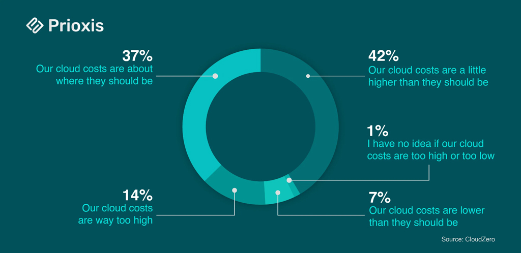 Perception Of Current Cloud Cost Optimization