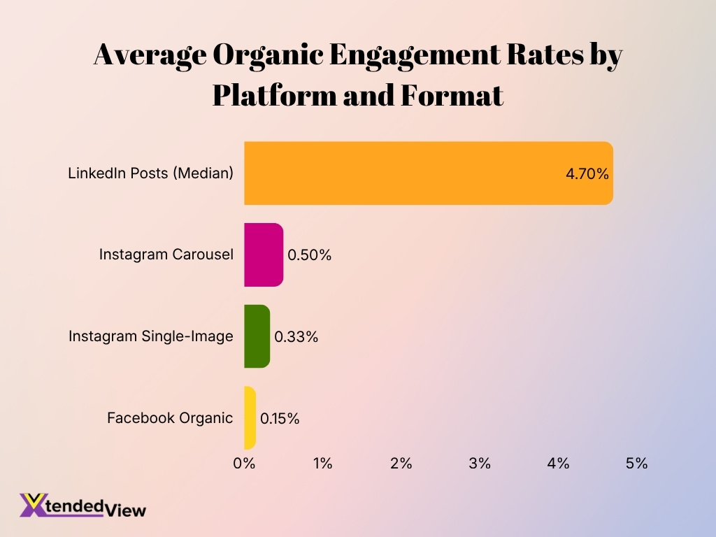 Average Organic Engagement Rates By Platform And Format
