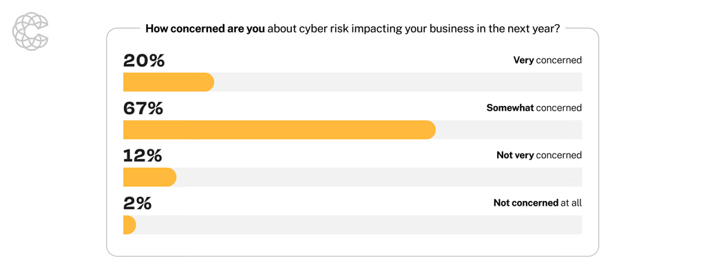 Level Of Concern About Cyber Risk Impact On Business