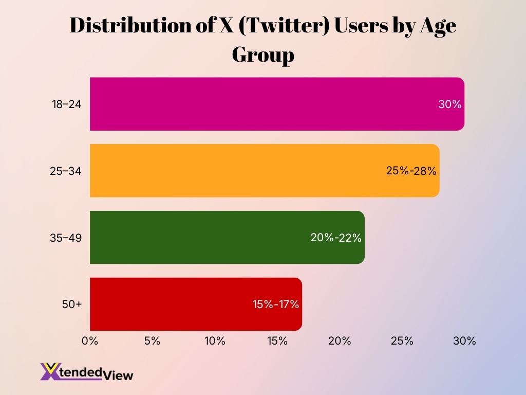 Distribution Of X Twitter Users By Age Group Distribution Of X Twitter Users By Age Group