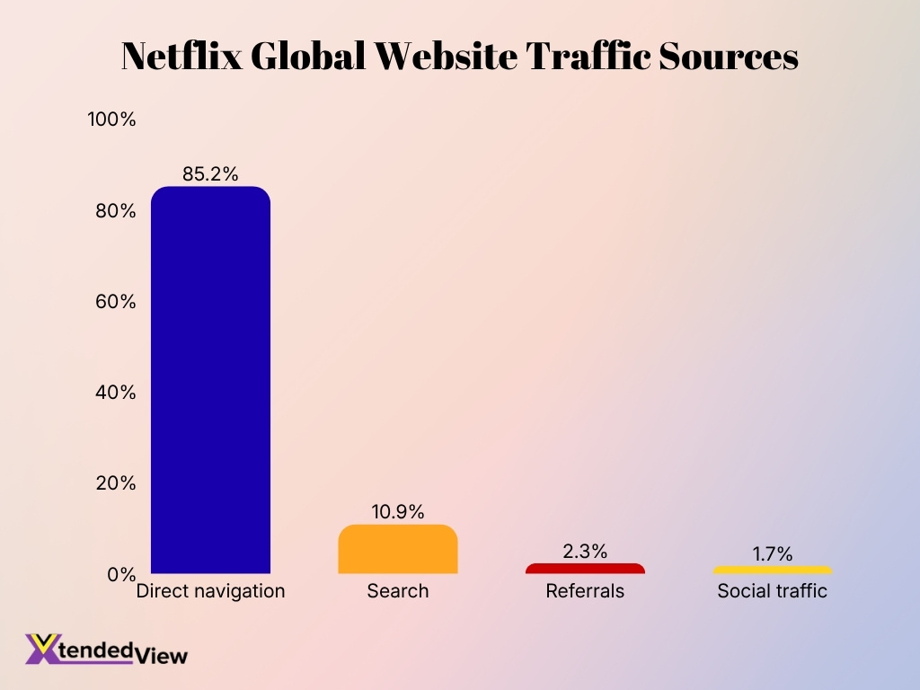 Netflix Global Website Traffic Sources