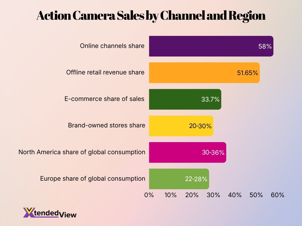 Action Camera Sales By Channel And Region