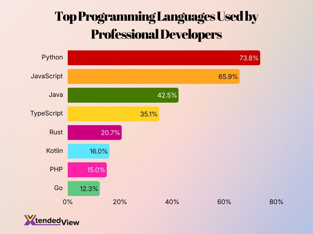 Top Programming Languages Used By Professional Developers